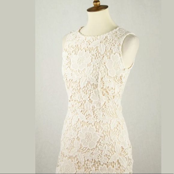 ❌SOLD❌Ann Taylor LOFT Lace Overlay Sheath Dress - Picture 3 of 6